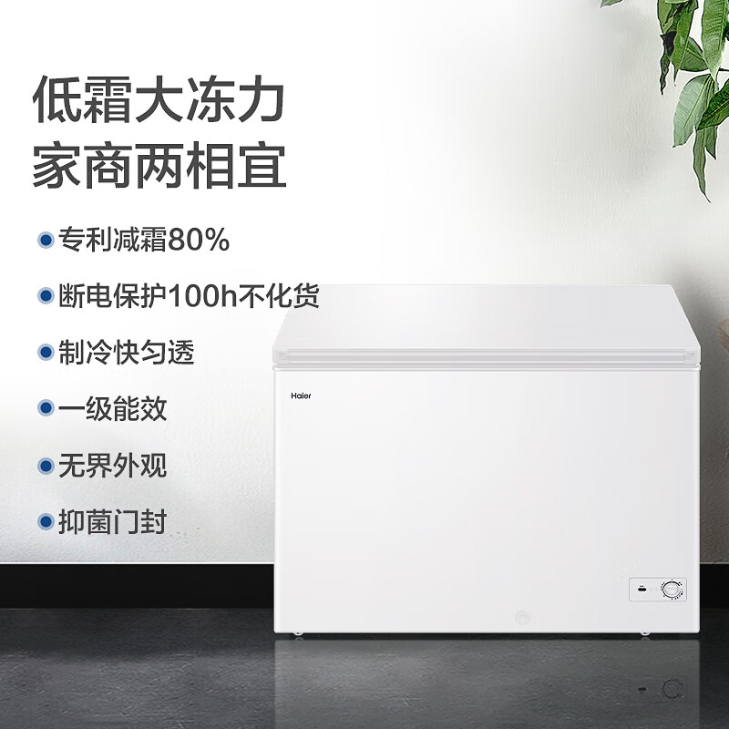 海尔（Haier）301升低霜节能家用商用冰柜 冷藏冷冻转换冰箱鑫蓝系列大冷柜BC/BD-301GH00W0