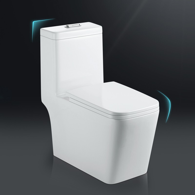 谈谈中德标致peucie节水静音坐便器功能怎样口碑评测质量好吗