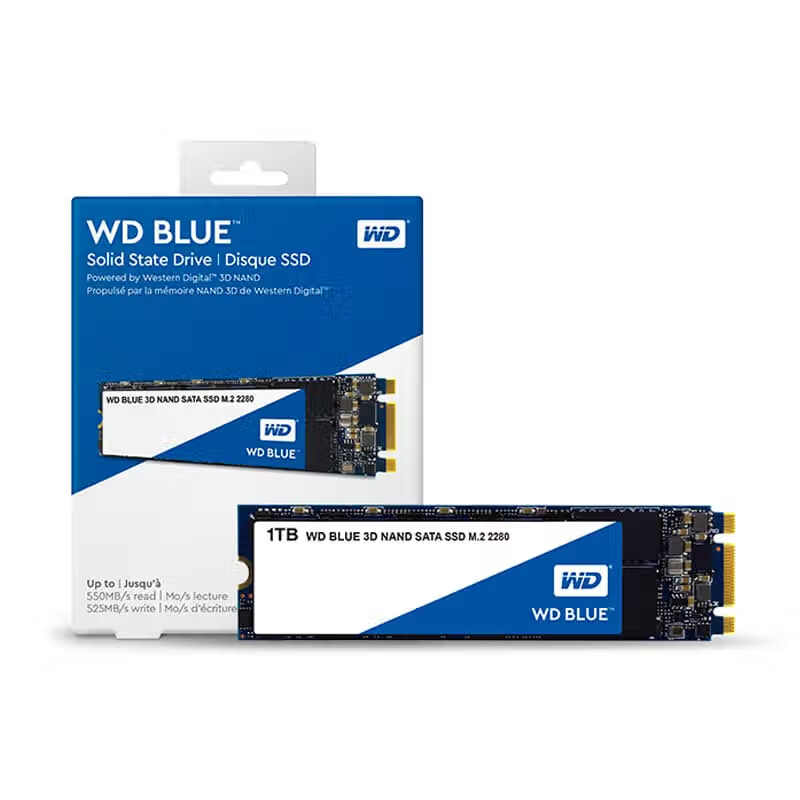 西部数据（WD) 1T SSD固态硬盘 M.2接口 Blue系列 3D技术 高速读写 五年质保