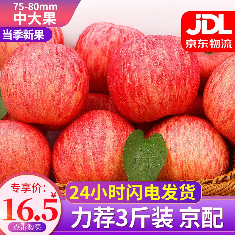 山东烟台苹果栖霞红富士 脆甜当季新鲜水果时令生鲜整箱 红富士苹果3斤中大果 75-80mm