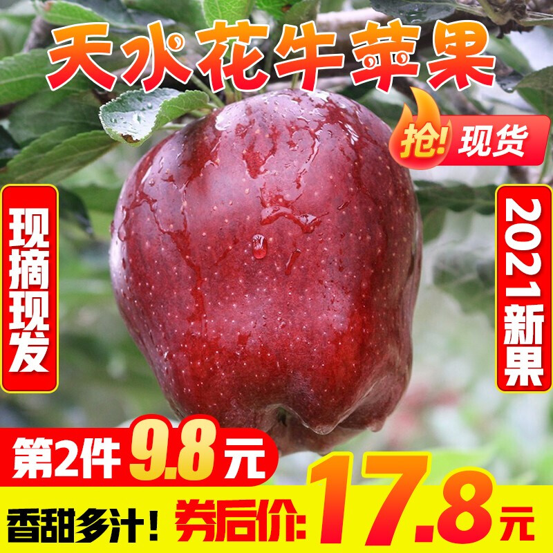 苹果 甘肃花牛 甘肃天水花牛苹果 5斤12-14个 苹果 新鲜水果现摘现发