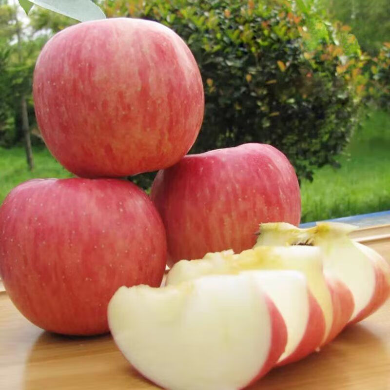 京喜官方补贴 红富士苹果 红富士苹果新鲜水果当季时令新鲜水果生鲜 陕西红苹果孕妇水果生鲜 3斤装75-80mm