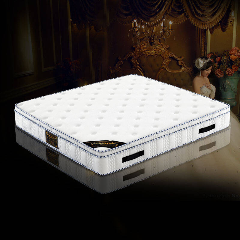 月夜喜 床垫席梦思 多功能分体弹簧床垫纳米海绵整网弹簧床垫 a819