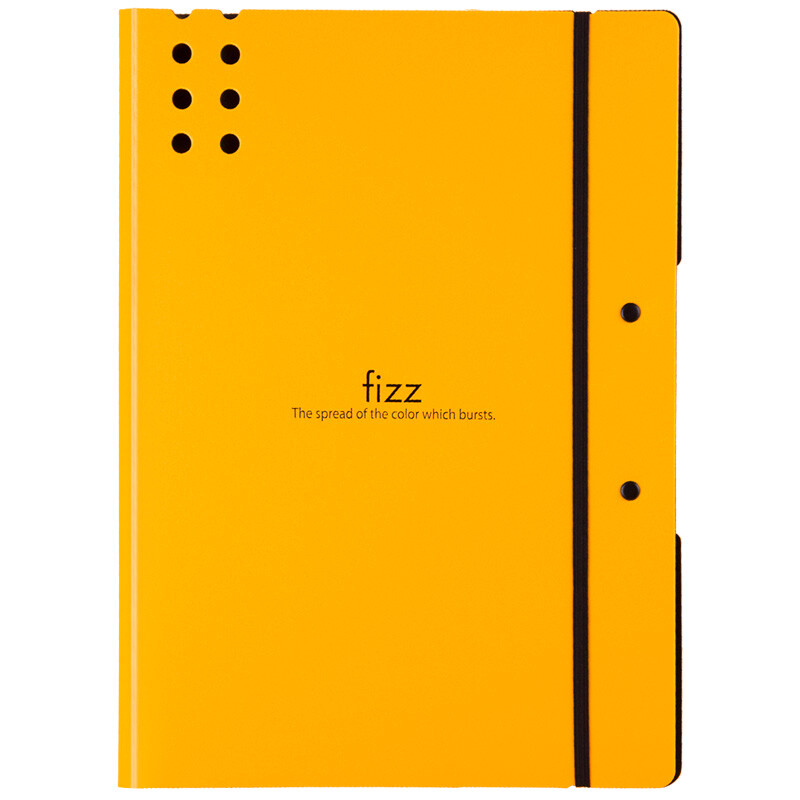 飞兹(fizz)高质感A4加厚试卷夹/文件夹板/资料夹/办公用品 橙色A6382