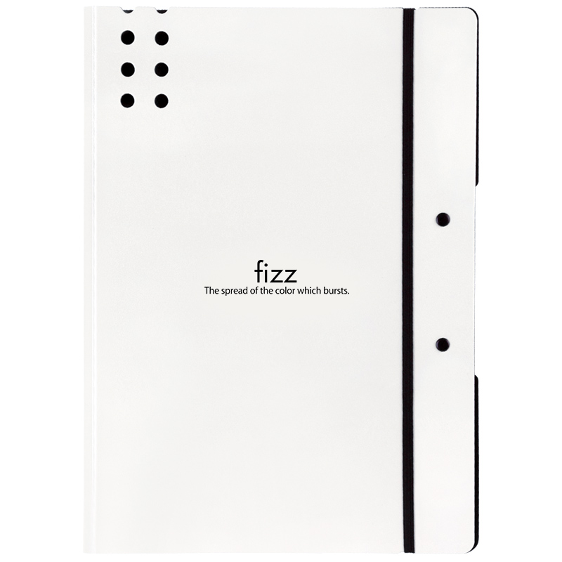 飞兹(fizz)试卷夹A4加厚款/文件夹板/资料夹/办公用品 白色A6382