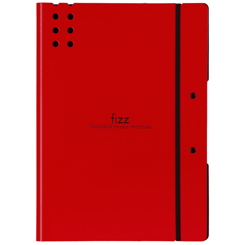 飞兹(fizz)试卷夹A4加厚款/文件夹板/档案夹/办公用品 红色A6382