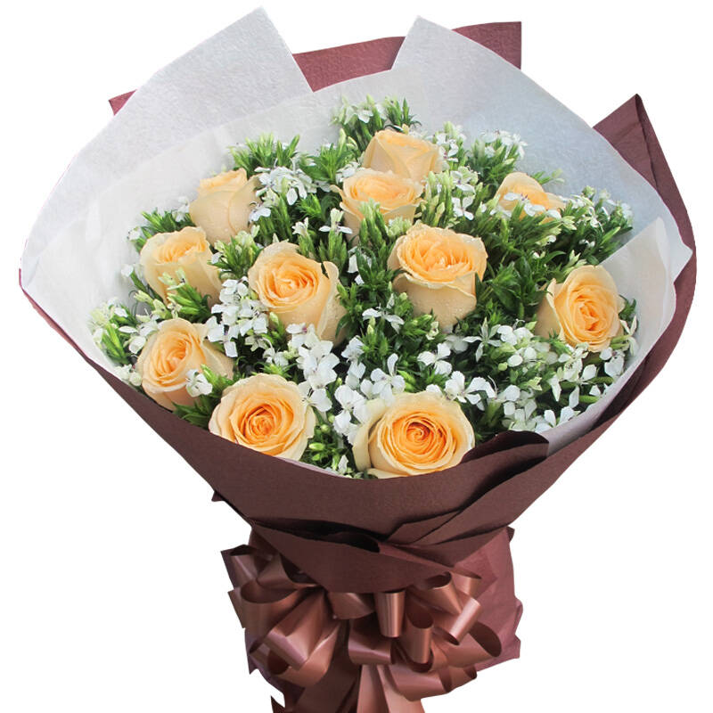 乐舞鲜花速递 11朵香槟玫瑰花束 全国鲜花同城速递 鲜花快递 11朵香槟