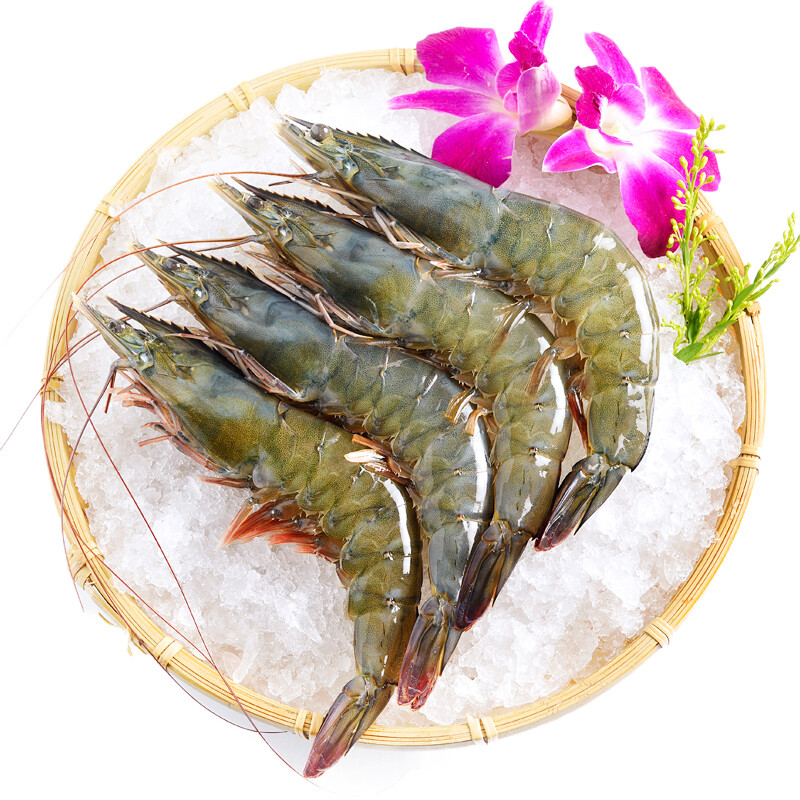 京觅海外直采泰国白虾女王虾巨型限量款18kg3240只盒礼盒装核酸已检测