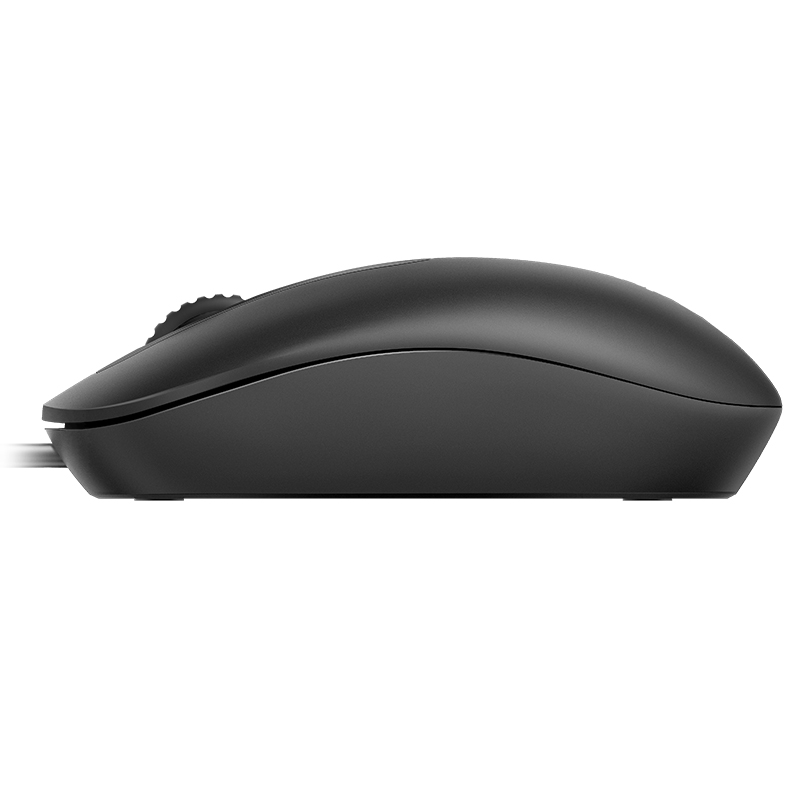 雷柏（Rapoo） N200 有线鼠标 办公鼠标 对称鼠标 笔记本鼠标 电脑鼠标 台式机鼠标 黑色
