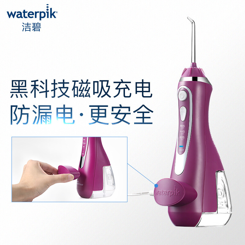 洁碧（Waterpik）冲牙器/水牙线/洗牙器/洁牙机 多喷头 正畸适用 便携手持式小蛮腰GS9-52（WP-565EC升级版）