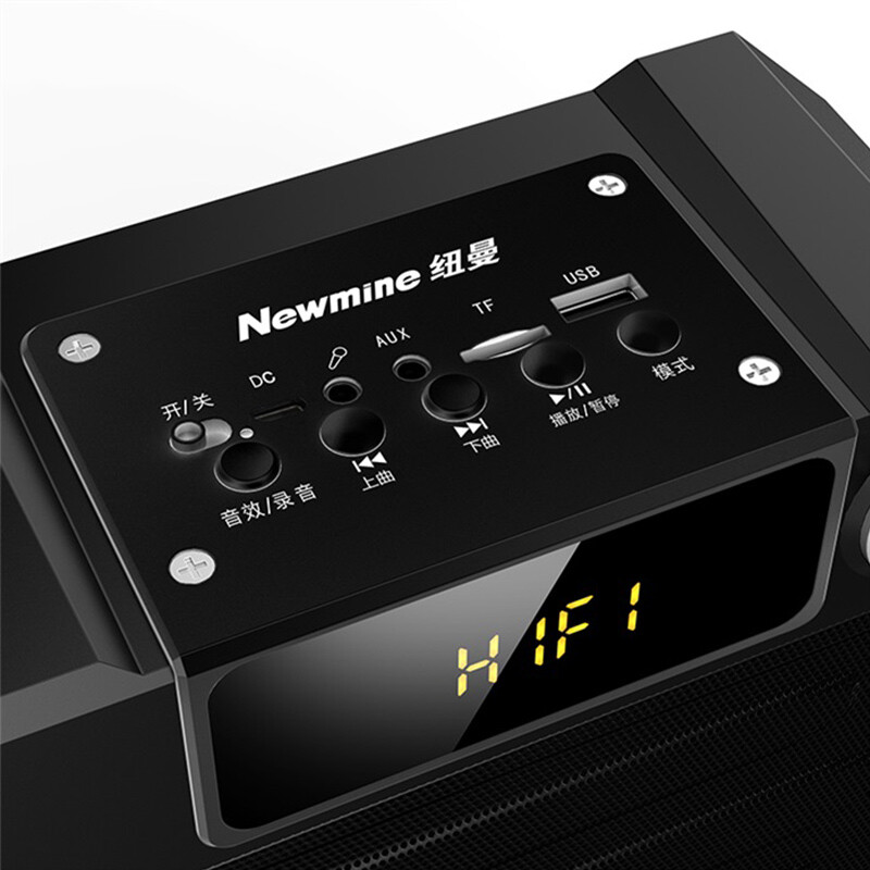 纽曼（Newmine）A113蓝牙音箱广场舞音响户外低音炮喇叭扩音器小音箱迷你便携蓝牙音响家用K歌