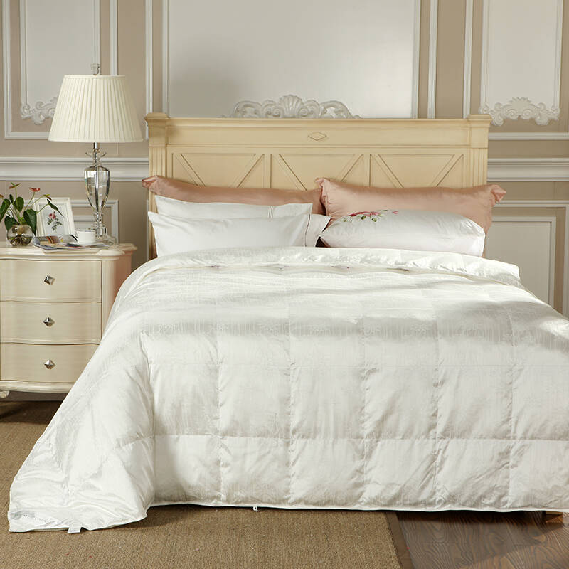 雅兰家纺床上用品羽丝绒春秋被芯双人被子 雅柔羽丝绒被 春秋款 230*