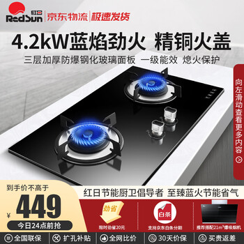 达人解析红日JZT-EBD21B怎么样呢？求老司机指教