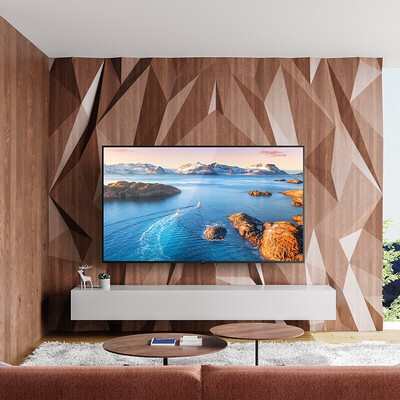 围观:小米l65m5-ea与l65m5-4x哪个好用?有什么区别?亲测好用