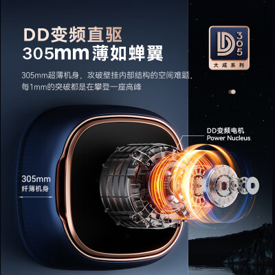 大宇DY-BGX08H怎么样？质量靠谱吗？