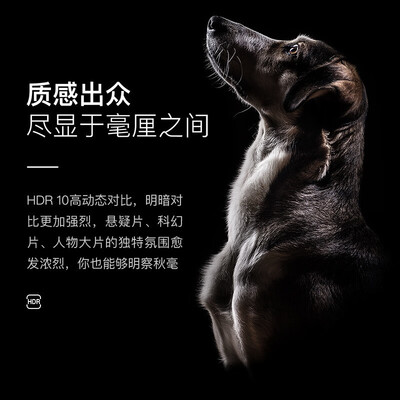 长虹v8spro和峰米4K max参数对比哪个好?区别大吗?