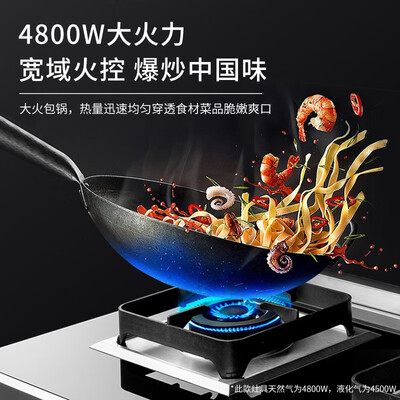 帅康GB220怎么样?使用评价好吗?