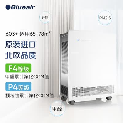 布鲁雅尔603怎么样?质量如何?