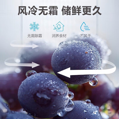 深度体验点评海尔BCD-170WDPT双门小冰箱还可以不？告知三周感受告知！