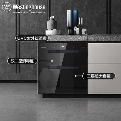 西屋ZQD100-DC01怎么样?牌子好吗?