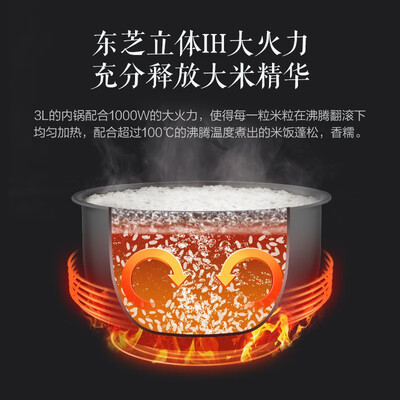 东芝RC-PR10NC怎么样?评测好吗?