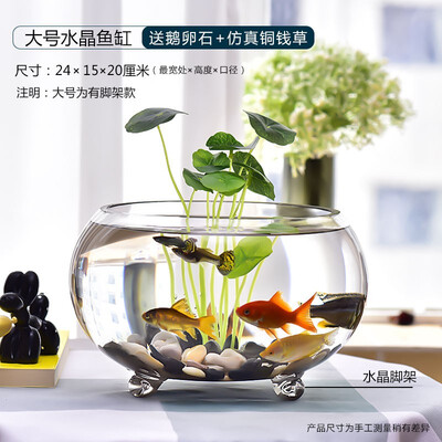 入手分析喜莱卡 水族箱办公桌面透明鱼缸椭圆金鱼缸创意小型造景生态圆形口碑评价行不行？评测一周感受分享！！