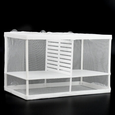 用过的人揭秘派乐特双层网格孵化盒大感受如何?告知两个月经验分享!!