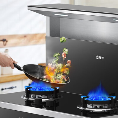 共同讨论:乐邦集成灶jzy-a3评价如何?有啥优缺点?