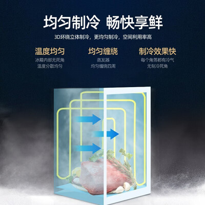 现代冰箱和雪花冰箱哪个好?区别是什么?