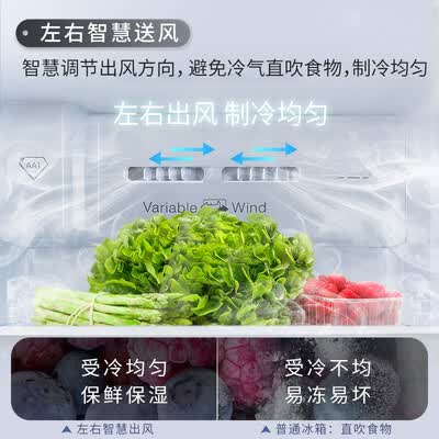 TCLR520T1-S烟墨蓝怎么样?评测好吗?