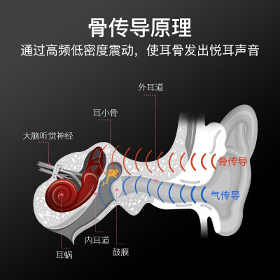 【不看后悔】飞利浦tan6605和南卡哪个好？评测值得买吗