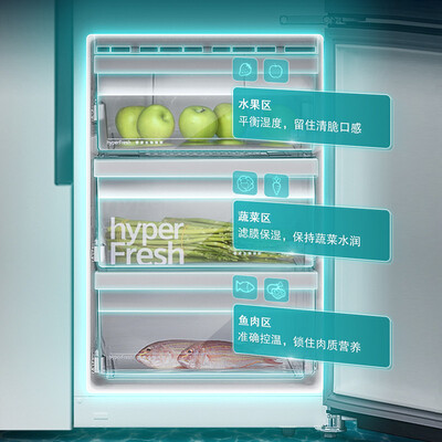 西门子冰箱KA96FA12TI怎么样？属于什么档次？