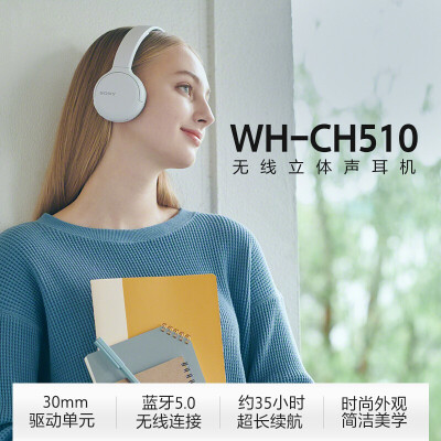 「评价性价比」索尼ch510和jbl500bt哪个好？只选对的不选贵的