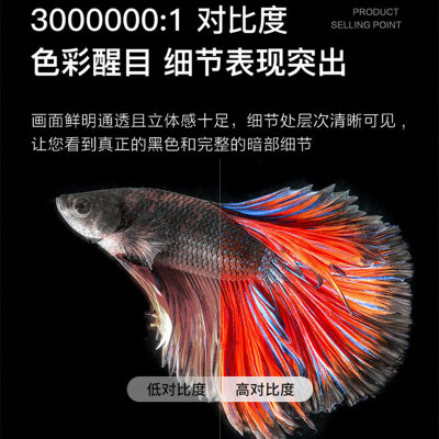索尼激光投影机VPL-C500WZ怎么样？属于什么档次？