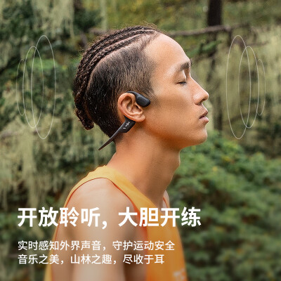 韶音as800对比韶音（SHOKZ）S810哪个好？区别有吗？