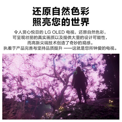 LG OLED55A1PCA电视怎么样？评价好吗？