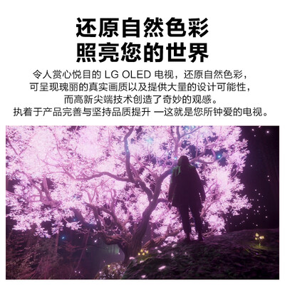 LGOLED65B1PCA怎么样？值得入手吗？