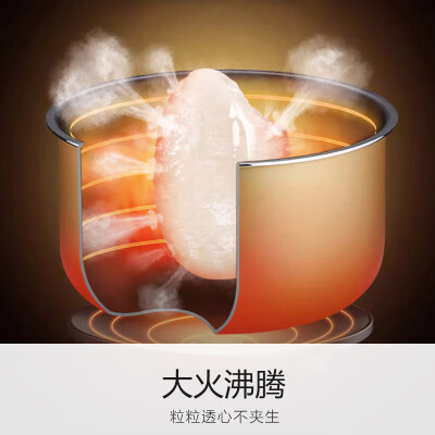 九阳30fe09与30fe08哪个好？区别大不大？