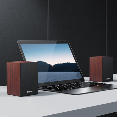 老司机分享飞利浦spa2100和510哪个好？评测结果不看后悔