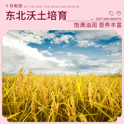 十月稻田十月稻田 香稻贡米1kg产品参数及用户评价如何_http://www.meifudie.com_好物_第3张