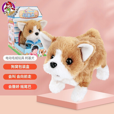 图文揭秘乐吉儿萌犬家族-柯基犬有谁用过没有?老铁了解分享!!