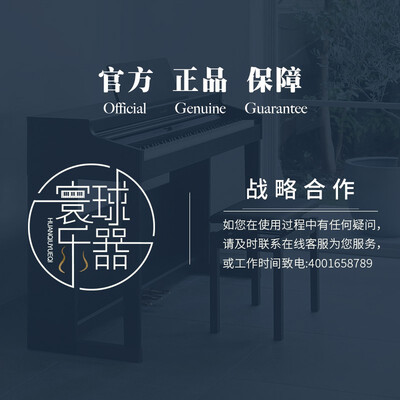 罗兰RP30怎么样？牌子好吗？
