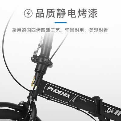 凤凰路雪怎么样?是品牌吗?