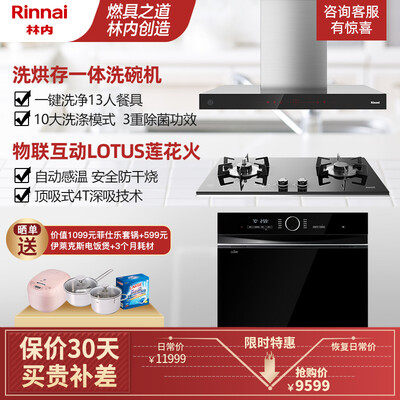 林内ETW11G+2WLGM+M2怎么样?好不好?