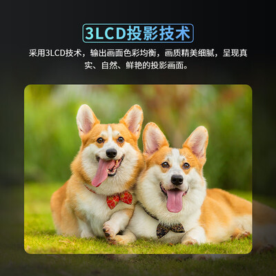 理光（RICOH）PJ-YX2000怎么样？上档次吗？