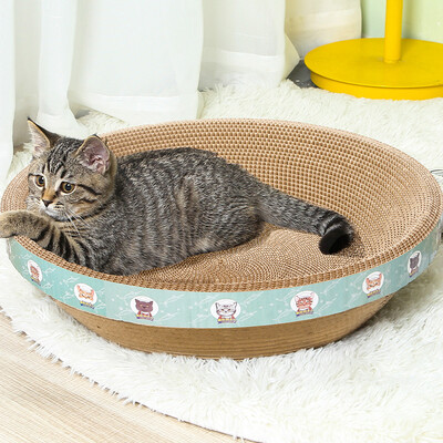 对比体验疯狂的主人CH-MZ06内幕分析测评?揭秘广告背后的真相!!