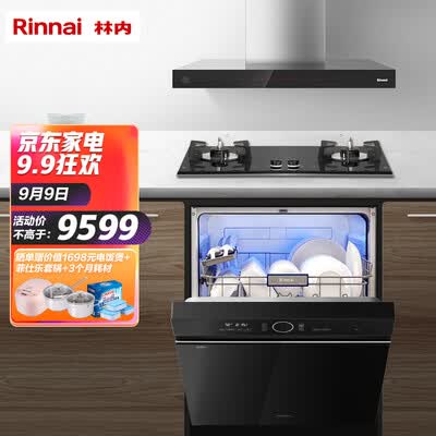 林内ETW11G+2WLGM+M2怎么样?牌子好吗?