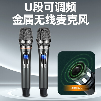 山水SANSUI E12广场舞音响怎么样?质量好吗?