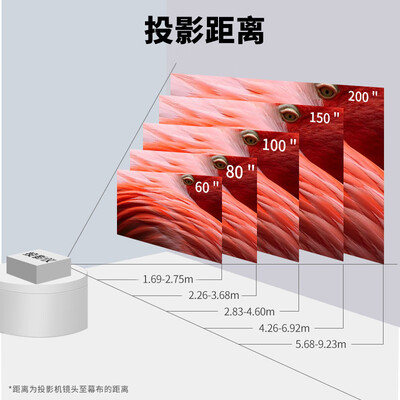爱普生cb和ch哪个好?有区别没有?