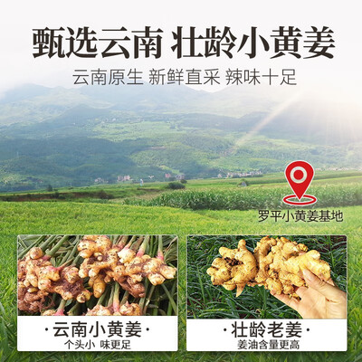 综合揭秘丙田有机云南干姜片 小黄姜生姜干制脱水鲜老姜片 泡茶真实